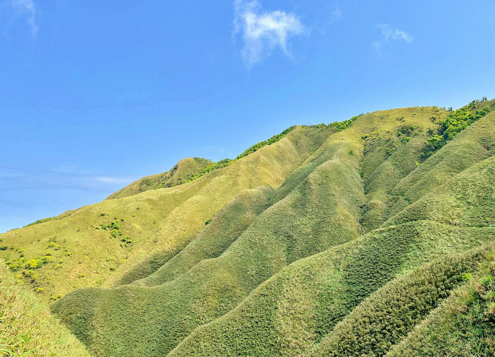抹茶山