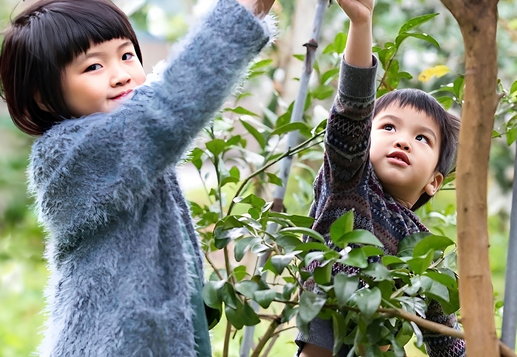 生活力｜與自然一起悠然甦醒